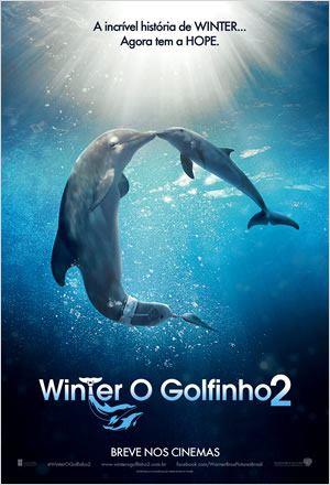  Winter, o Golfinho 2  (2014) Poster 