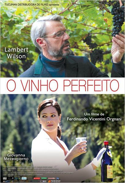  O Vinho Perfeito   (2014) Poster 