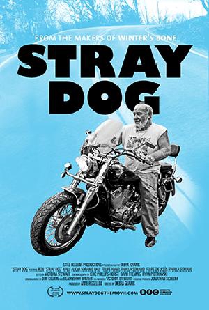  Stray Dog  (2014) Poster 