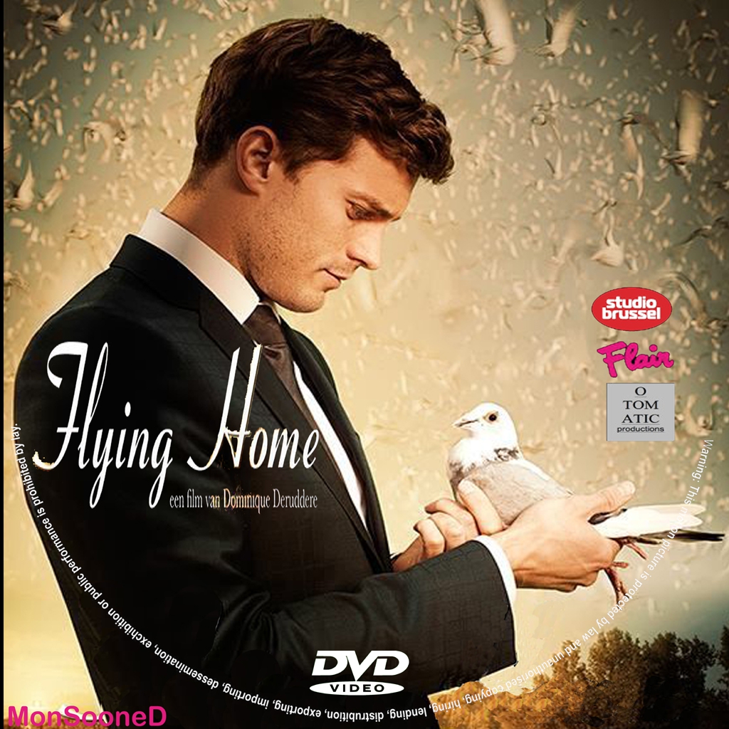  Flying Home (2014) Poster 
