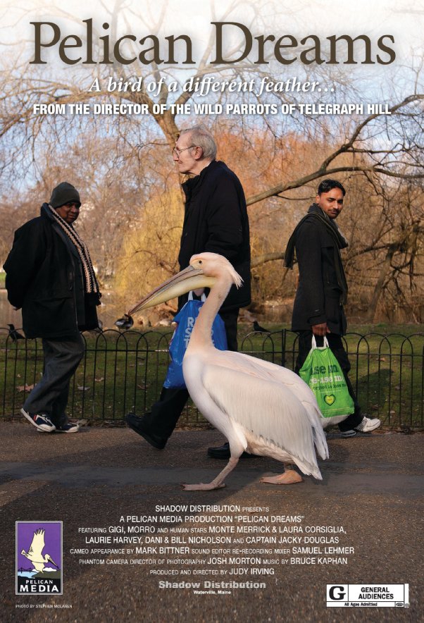  Pelican Dreams  (2014) Poster 