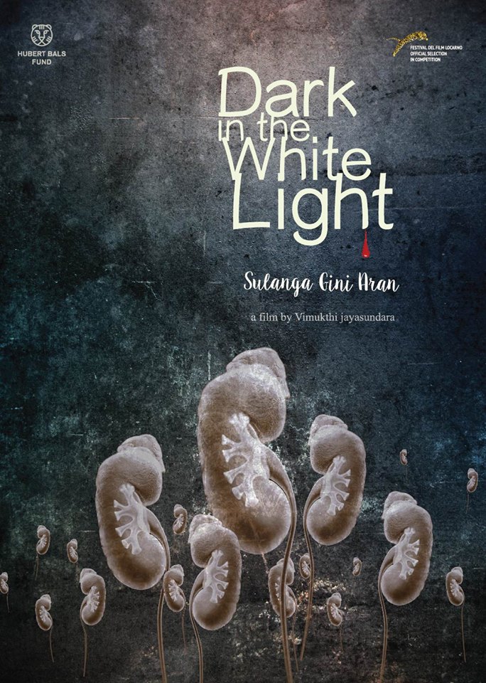  Dark In The White Light (2015) Poster 