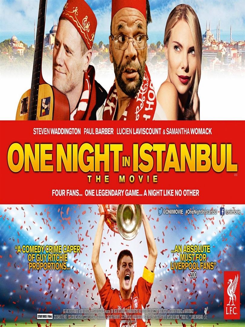  One Night In Istanbul  (2014) Poster 