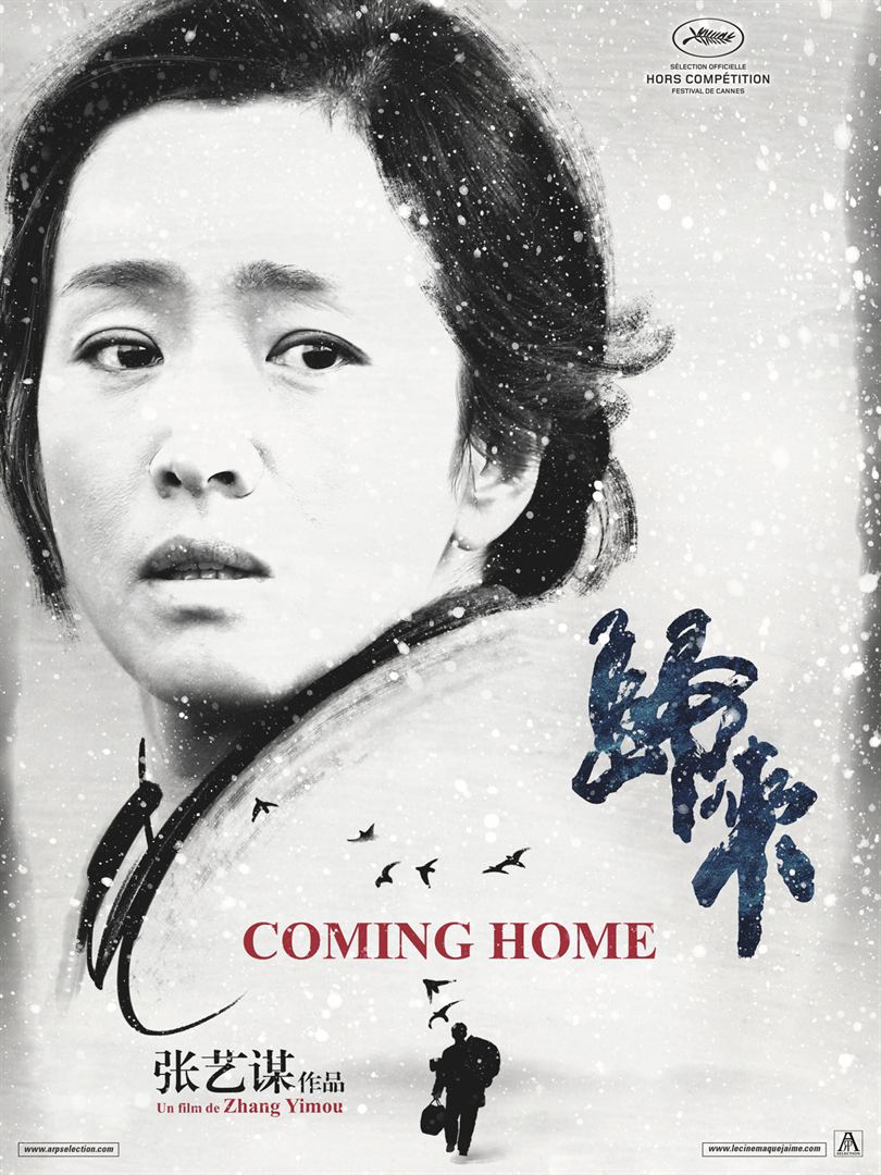  Voltando Para Casa  (2014) Poster 