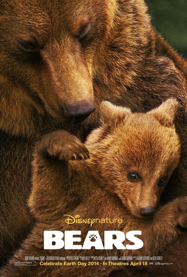  Ursos  (2014) Poster 