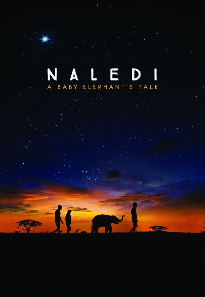  Naledi: A Baby Elephant's Tale (2016) Poster 