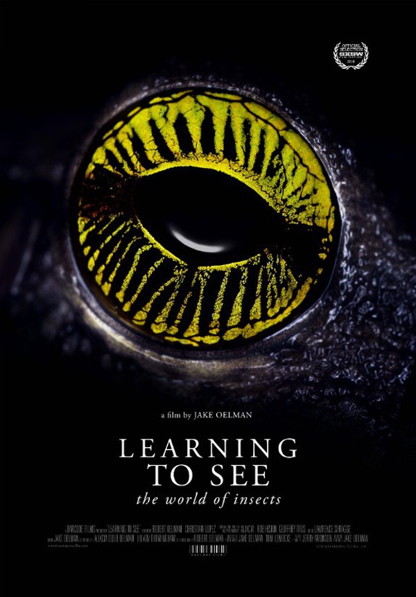  Learning to See - The World of Insects (2016) Poster 