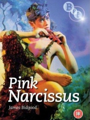  Pink Narcissus (1971) Poster 