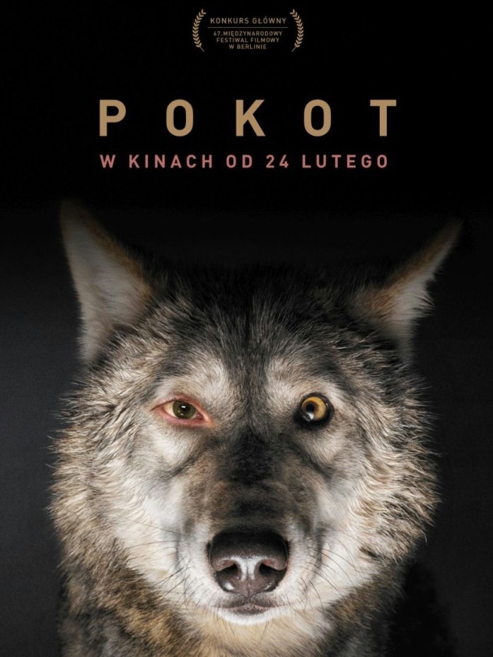  Pokot (2017) Poster 