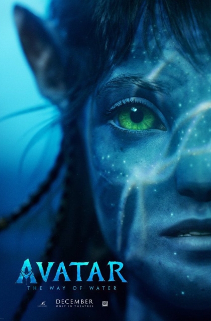  Assistir Avatar 2 - O Caminho da Água  (2022) Poster 